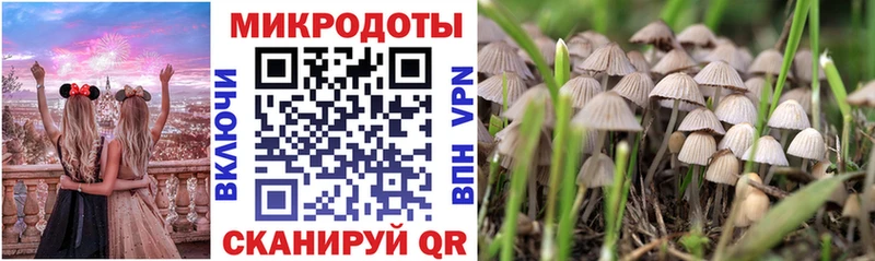купить  цена  Феодосия  Галлюциногенные грибы MAGIC MUSHROOMS 